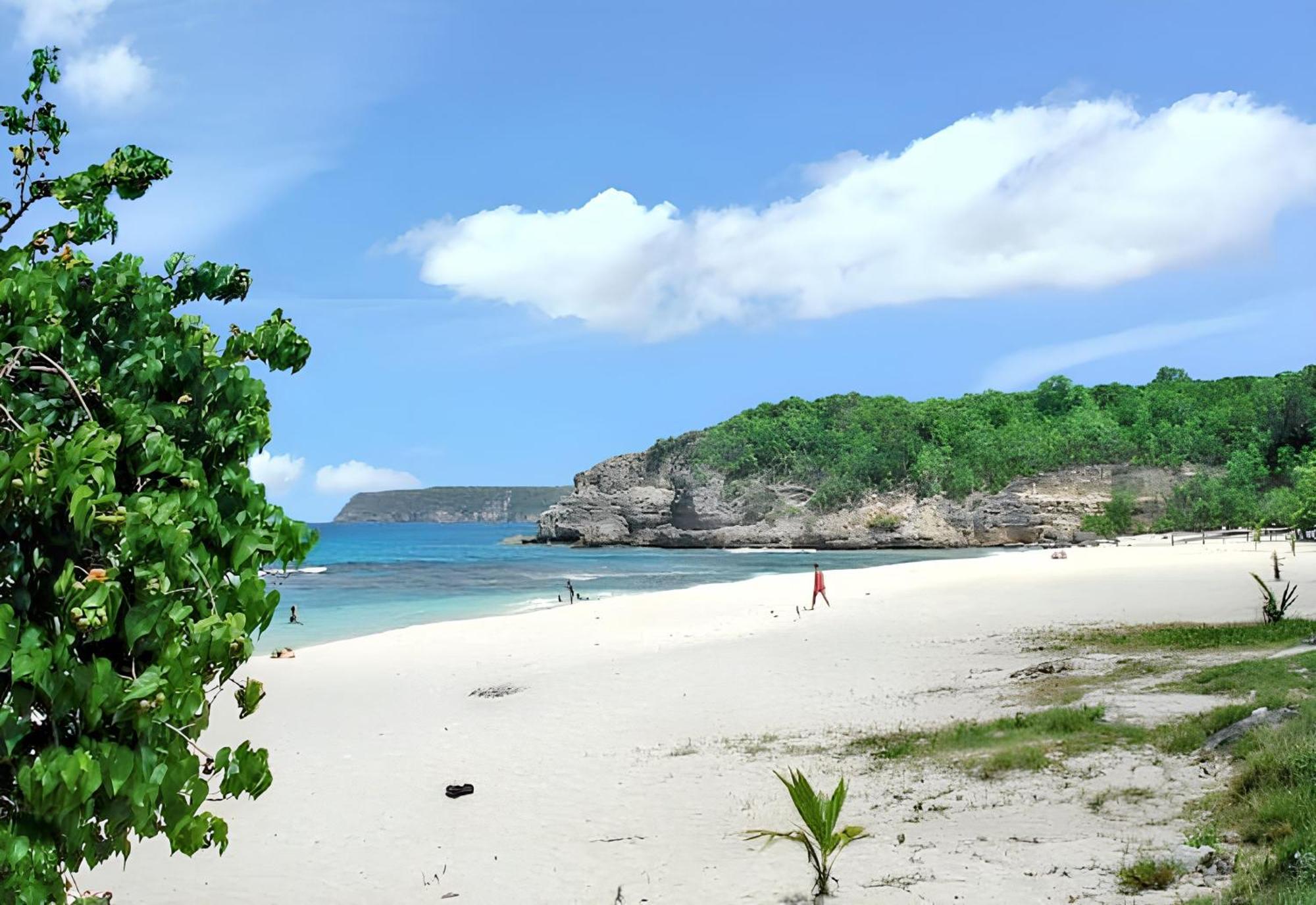 Maison Charmante A Anse-Bertrand Avec Jardin Villa Kültér fotó